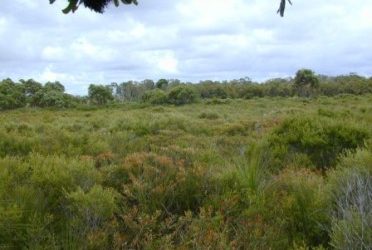 Stroll down Pine Ridge Conservation Park